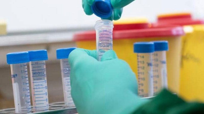 هل وجد العلماء علاجًا للقضاء على 