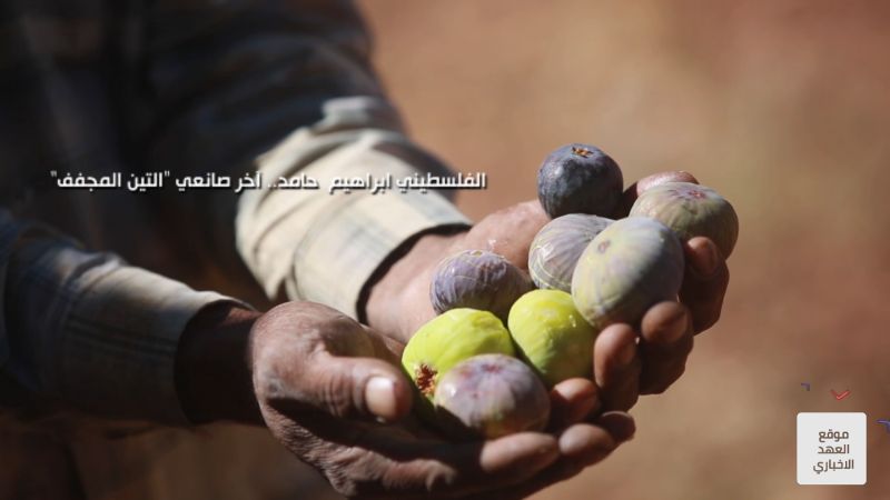 الفلسطيني ابراهيم  حامد.. آخر صانعي "التين المجفف"