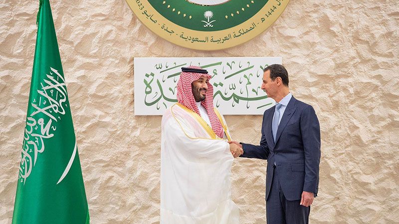 الأسد في جدة "تراند" على "تويتر"