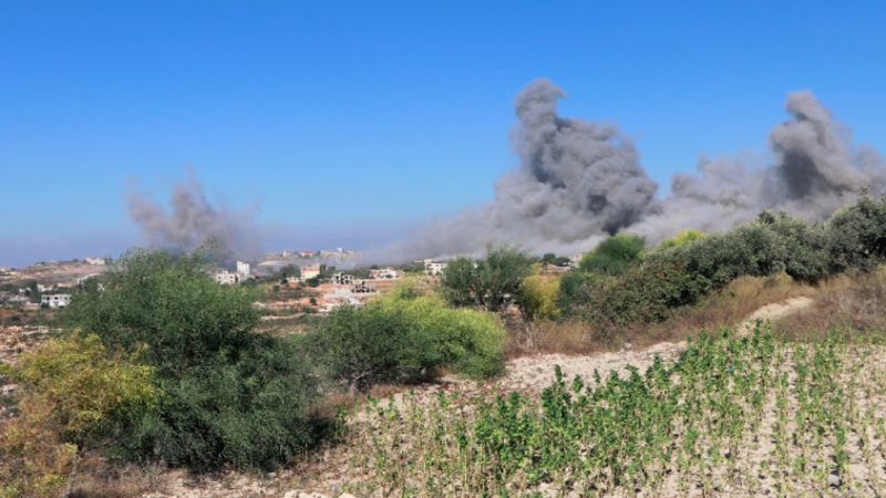 الفوسفور الأبيض مجددًا في الجنوب: عدوانٌ بيئي يُضاف إلى سجلّ الجرائم الصهيونية