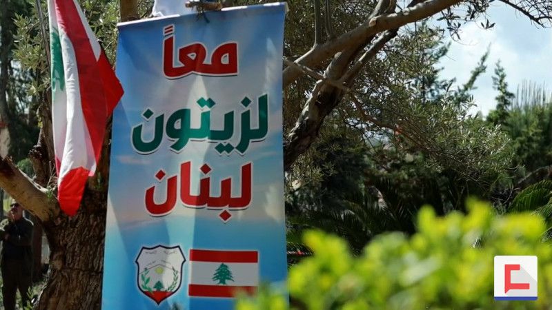 العدو اقتلع .. ومزارعو الجنوب أعادوا الزرع