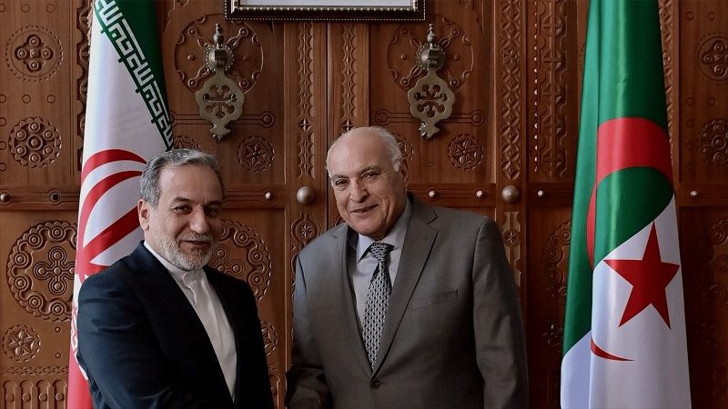 عراقتشي: لزيادة التعاون بين الدول الإسلامية لوقف الإبادة والتهجير بحق الفلسطينيين