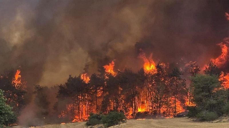 الحرائق تلتهم جبال القدس وتتمدد نحو المستوطنات.. الاحتلال عاجز ويطلب مساعدة دولية